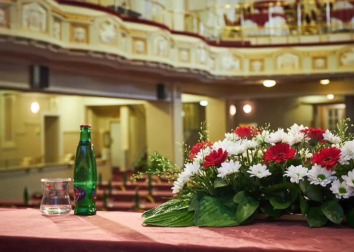 Ambassador Zlata Husa Prag